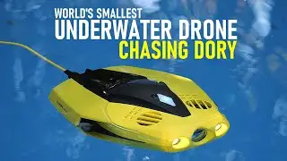 Chasing Dory ROV Review - World's Smallest Underwater Drone | DansTube.TV