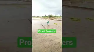 Salute farmers to all over the world #shorts #viralshorts #trendingshorts