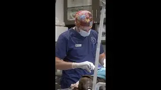 24 Hour Emergency Veterinary Care in North Vancouver - Here when your pet needs us