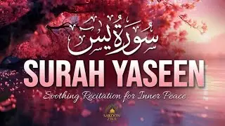 Surah Yaseen |Smoothing  &Beautiful Recitation for Inner peace by Alaa Aqel |سورہ یس|