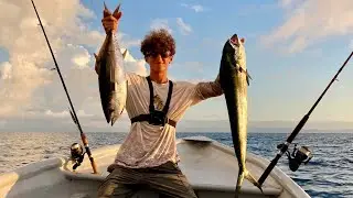 BEAUTIFUL Mahi Mahi + Yellowfin Tuna TRIPLE HOOK UP