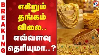 Gold | Silver | Gold Rate Today | Pongal | எகிறும் தங்கம் விலை.. - எவ்வளவு தெரியுமா..?