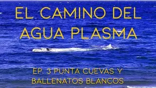 EL CAMINO DEL AGUA PLASMA |&nbsp;EP. 3 Punta Cuevas y Ballenatos Blancos