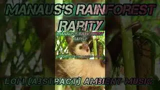 Manaus's Rainforest Rarity | #LofiAmbientSeries | Lofi To Relax In Rainforest | 2026 Teaser Mix