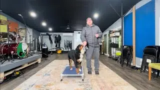 Teaching the place command to Ziggy.