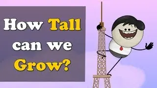 How Tall can we Grow? + more videos | #aumsum #kids #science #education #children