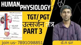 HUMAN PHYSIOLOGY HOME SCIENCE | Excretory system PART 3 | human physiology tgt