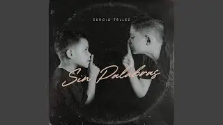 Sin Palabras (feat. Luis Fabián)