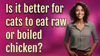 Is it better for cats to eat raw or boiled chicken?