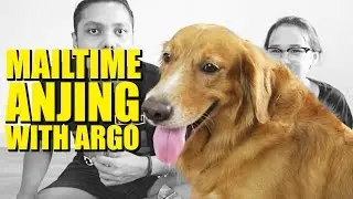 ПОЧТОВАЯ СОБАКА! | Mail Time