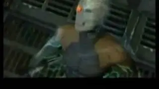 Gray Fox Tribute