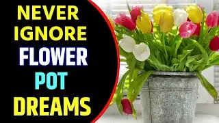 What does Flowerpot Dream Meaning Dreaming of Flowerpots Flowerpot Dream Interpretation