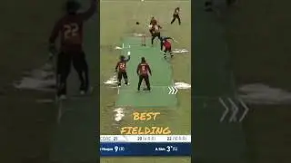 #BestFielding #cricket #fielding