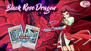 Black Rose Dragon! Ranked Duel: 