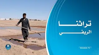 قرية بريف الرقة تعتمد على زراعة المحاصيل البعلية فقط بسبب ملوحة المياه الجوفية