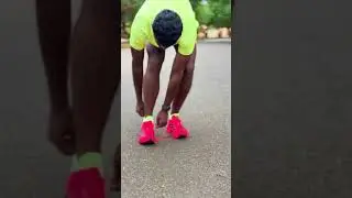 Adidas : Adizero Evo SL price ₹15999