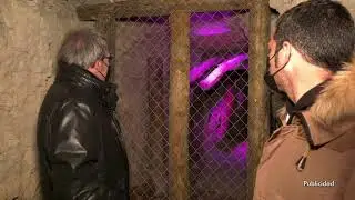 Refugio antia&eacute;reo : Monegrillo | Territorio Vivo ATV 317