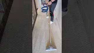How To Steam Clean Carpet Professionally