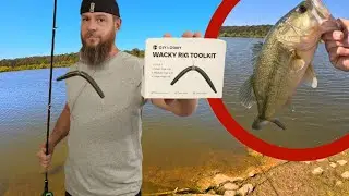 Bass Fishing with AMAZON's Wacky Rig Took Kit (Big Fall Bass)