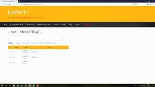 XSS store