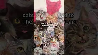 cats I added to The Sillies this year so far! :3 #cat #art #painting #silly #funny #artist