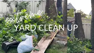 Extreme Yard Clean up | Fall Backyard Ideas | New Fence idea | Daphne Outdoor Living