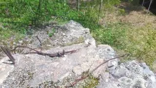 Buffalo mine - Cobalt, Ontario  (and Nancy Helen? it might have been across the street only)