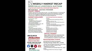 10/23/25 Maryville Livestock Auction Recap | Strong Cow & Calf Market 🐄📈  #livestockhub #livestock
