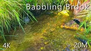 20 Min &ndash; Babbling Brook 4K | NO LOOP | Water Sounds for Meditation & Stress Relief | No Music