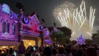 Disneyland's Wondrous Journeys with Fireworks Finale