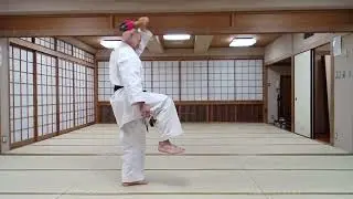 Practice:Chiishi Jochuge Sanchin Saifa Shusinokon Sakugawanokon Tensho 