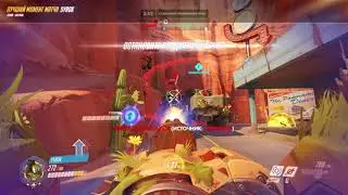 Overwatch Бастион Ассасин
