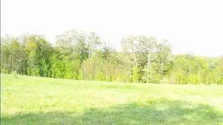 Real estate for sale in Jefferson New York - 33514