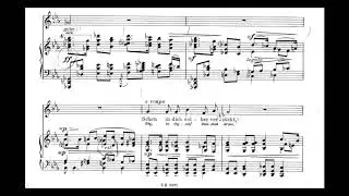 Joseph Marx - Hat dich die Liebe ber&uuml;hrt (Voice and Orchestra)