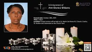 Celebrating the life of Ann Monica Williams also known as &ldquo;Ms. Babylin&rdquo;