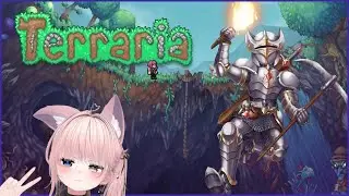 【🔰配信】アクセサリー集めてボス戦準備！現状勝てる未来は見えない…【Terraria】
