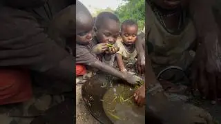 Food From The Jungle Shared Happily 😋❣️😛