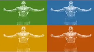 Five parameters used to describe skeletal muscles