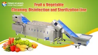 Fengxiang WA-2000 Bubble Vegetable and Fruit Washing Machine#washingmachine #vegetables