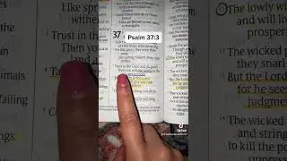 Psalm 37:3