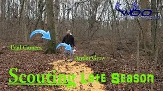 HOW TO ATTRACT DEER TO YOUR PROPERTY | ANTLER GROW CORN AND SPYPOINT TRAIL CAMERAS