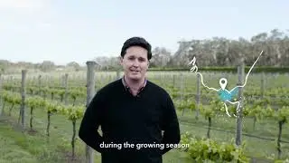 Mornington Peninsula - Wine Regions of Australia