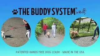 The Buddy System - Hands Free Dog Leash - Hanging With Your Best Friend