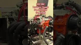 355 SBC Chevy Dyno Pull - Watch the full video to see how much HP it made!  #summitracing #chevrolet