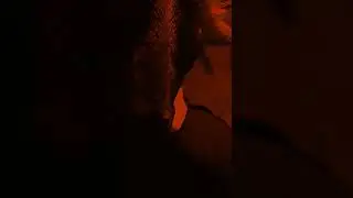 Grindhouse 97214 Feature Presentation Laurelhurst Teaser 8