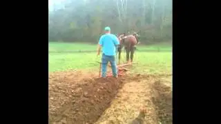 George & Junior Plowing with Mules