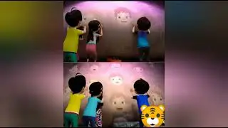 A cute cats running around with motor #funny #tomandjerry0650 #cats101 #trending #comedy 