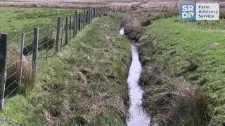 Helping wading birds on your farm