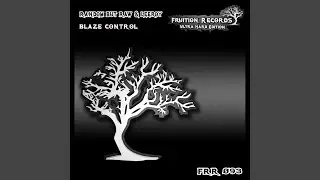 Blaze Control