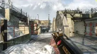 Call of Duty Black Ops MP Golden AUG